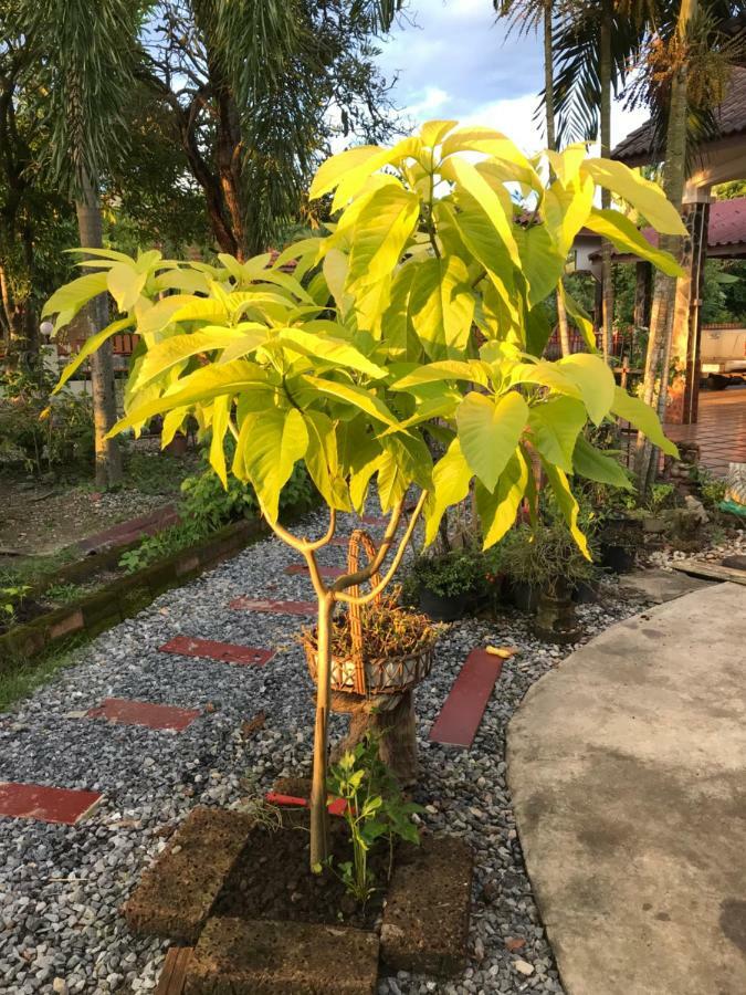 Grandma'S House Apartamento Nakhon Nayok Exterior foto
